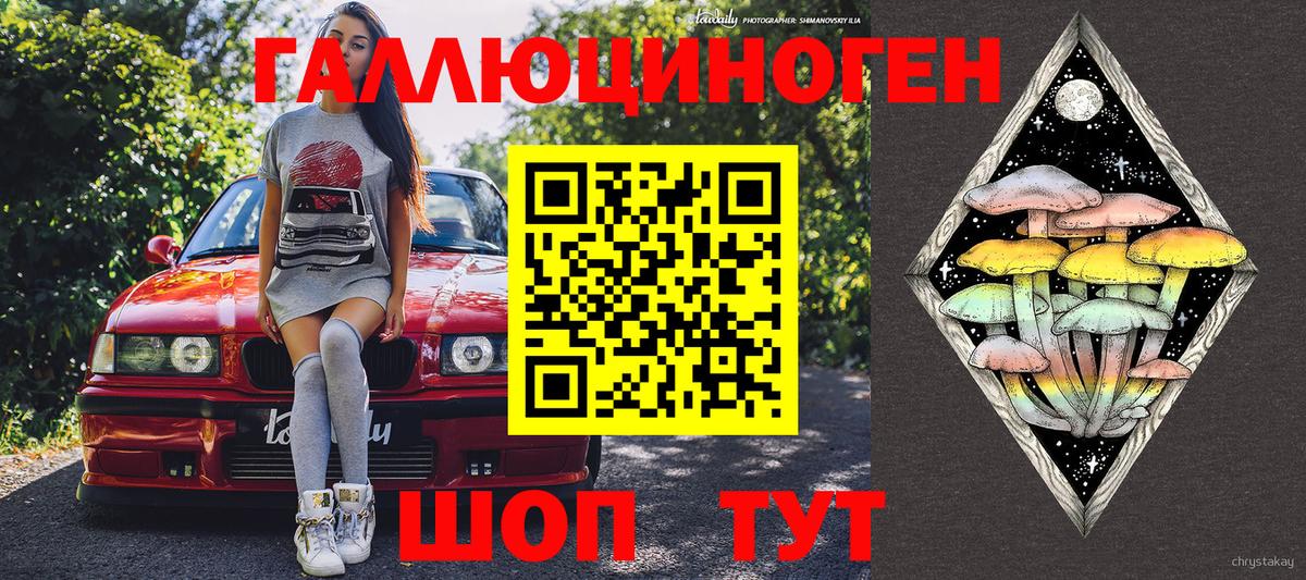 Мценск  Галлюциногенные грибы прущие грибы  Вход с VPN 